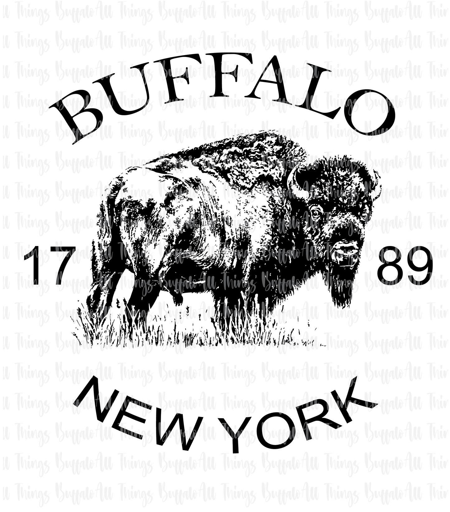 Vintage Buffalo NY