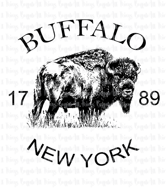 Vintage Buffalo NY